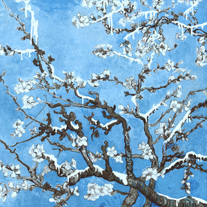 灰原衰被❌c🐻扒衣
