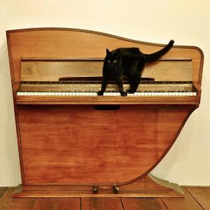 灰原衰被❌c🐻扒衣
